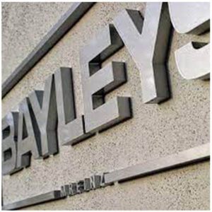 Channel Letters / 3D Signs - Image 20